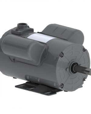 00456AP1DGD145TZ-S WEG AC Motor
