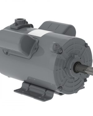 00736AP1DGD182TZ-S WEG AC Motor