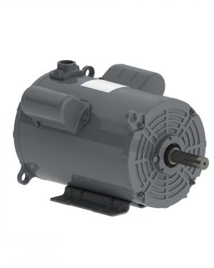 01536AP1DGD215TZ-S WEG AC Motor