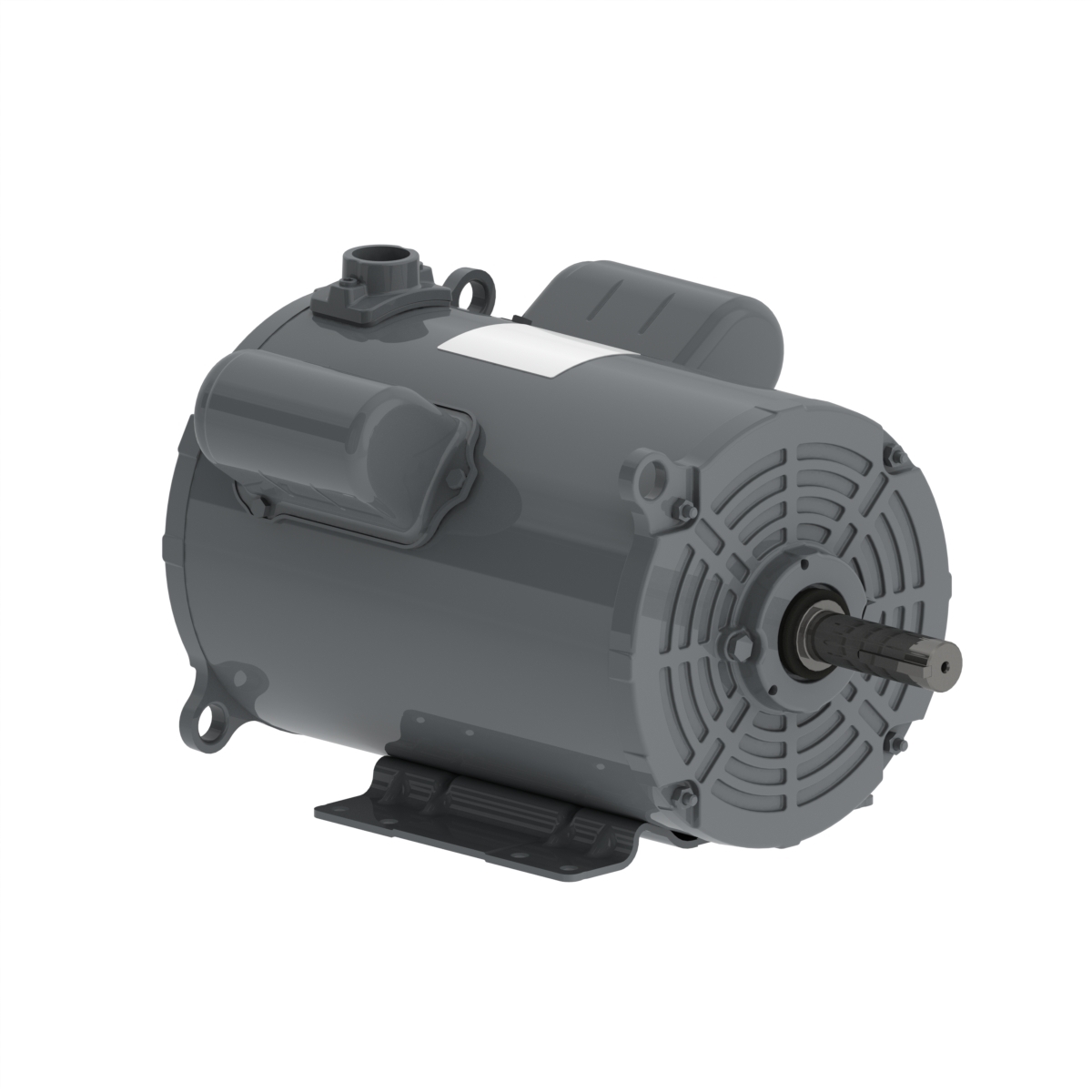 01536AP1DGD215TZ-S WEG AC Motor
