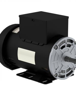 00536OS1DCD56H-S WEG AC Motor