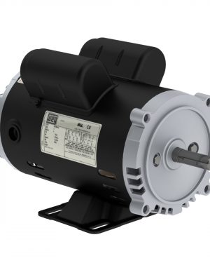.2518OT1BW56C-S WEG AC Motor