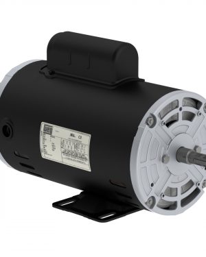 .5018OS1BFBW56-S WEG AC Motor