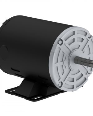 .2518OS1BSPO48-S WEG AC Motor