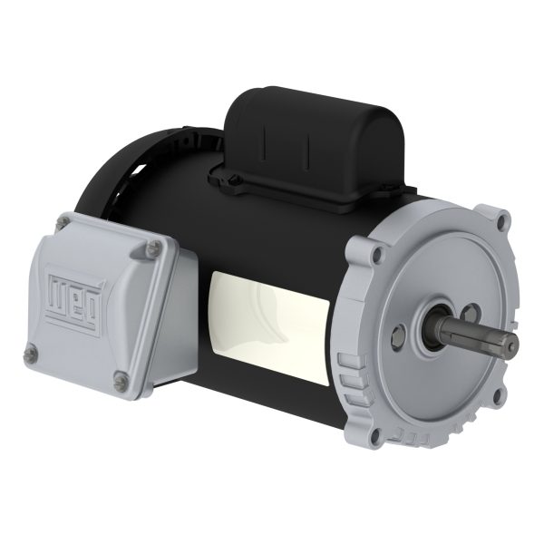 .5036ES1BW56CFL-S WEG AC Motor