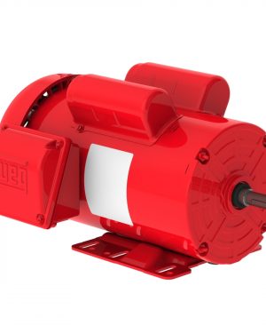 00218ES1RFD56H-S WEG AC Motor