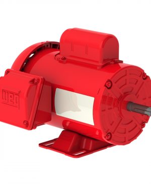 .3318ES1RFDW56-S WEG AC Motor