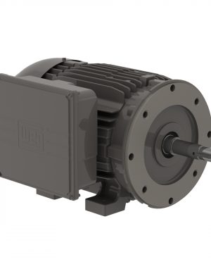 10021666 WEG AC Motor