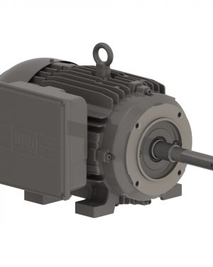 11833339 WEG AC Motor