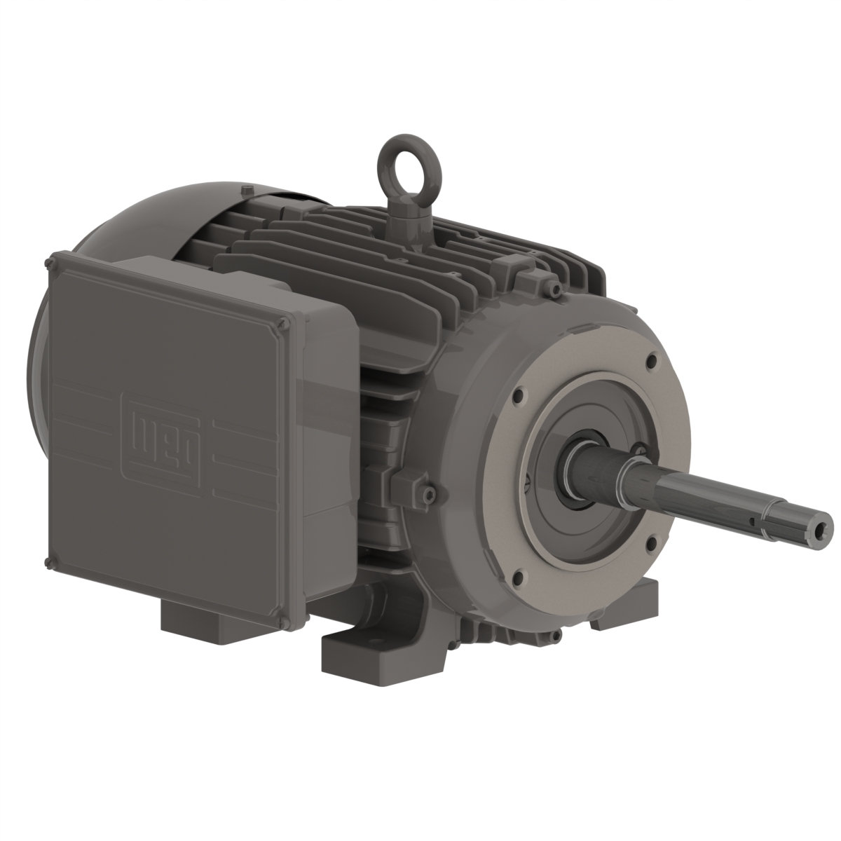 12886331 WEG AC Motor