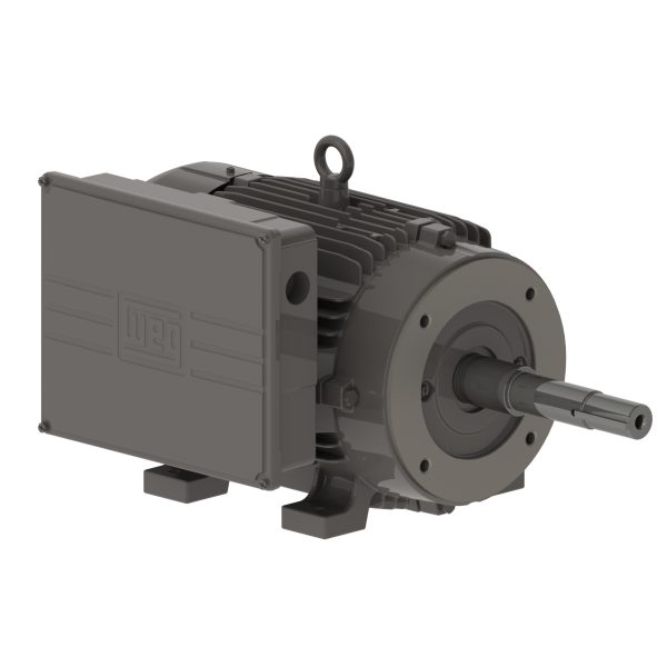 00736ES1C213JP WEG AC Motor