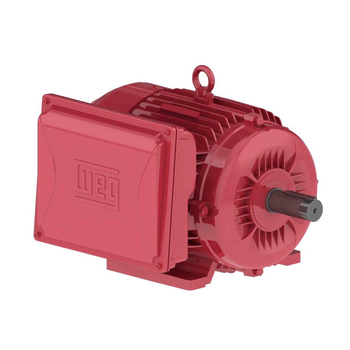 00718ES1DFD215Z-W22 WEG AC Motor