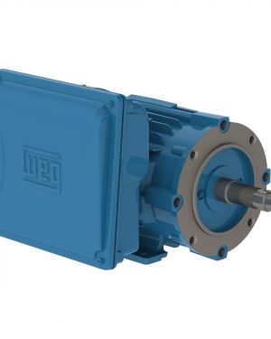 00158ES1E145JM-W22 WEG AC Motor
