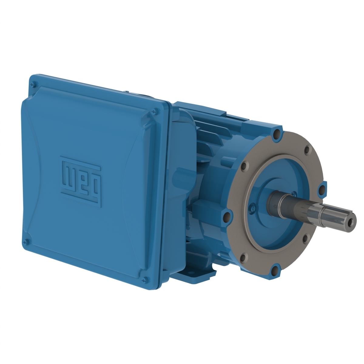 00158ES1E145JM-W22 WEG AC Motor