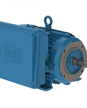 00318ES1B184JM-W22 WEG AC Motor