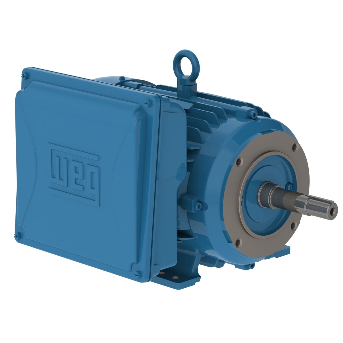 00318ES1B184JM-W22 WEG AC Motor
