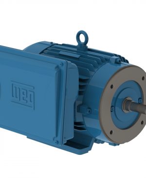 01036ES1C215JM-W22 WEG AC Motor