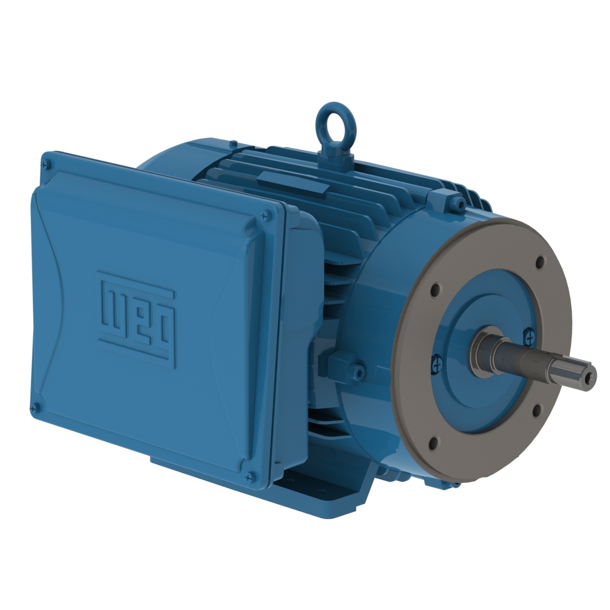 01018ES1E215JM-W22 WEG AC Motor