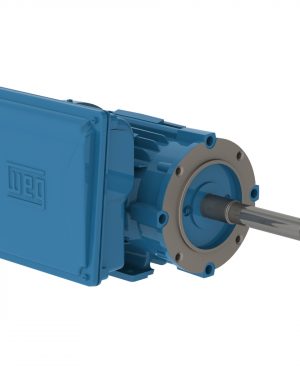 00158ES1E145JP-W22 WEG AC Motor