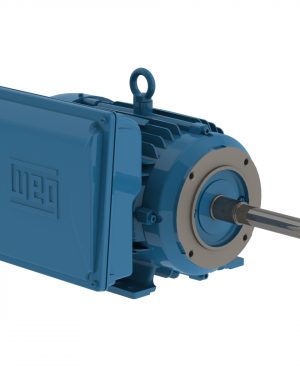 00318ES1B184JP-W22 WEG AC Motor