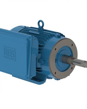 01036ES1C215JP-W22 WEG AC Motor