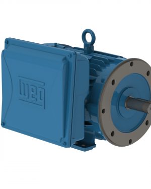 00536ES1E184TC-W22 WEG AC Motor