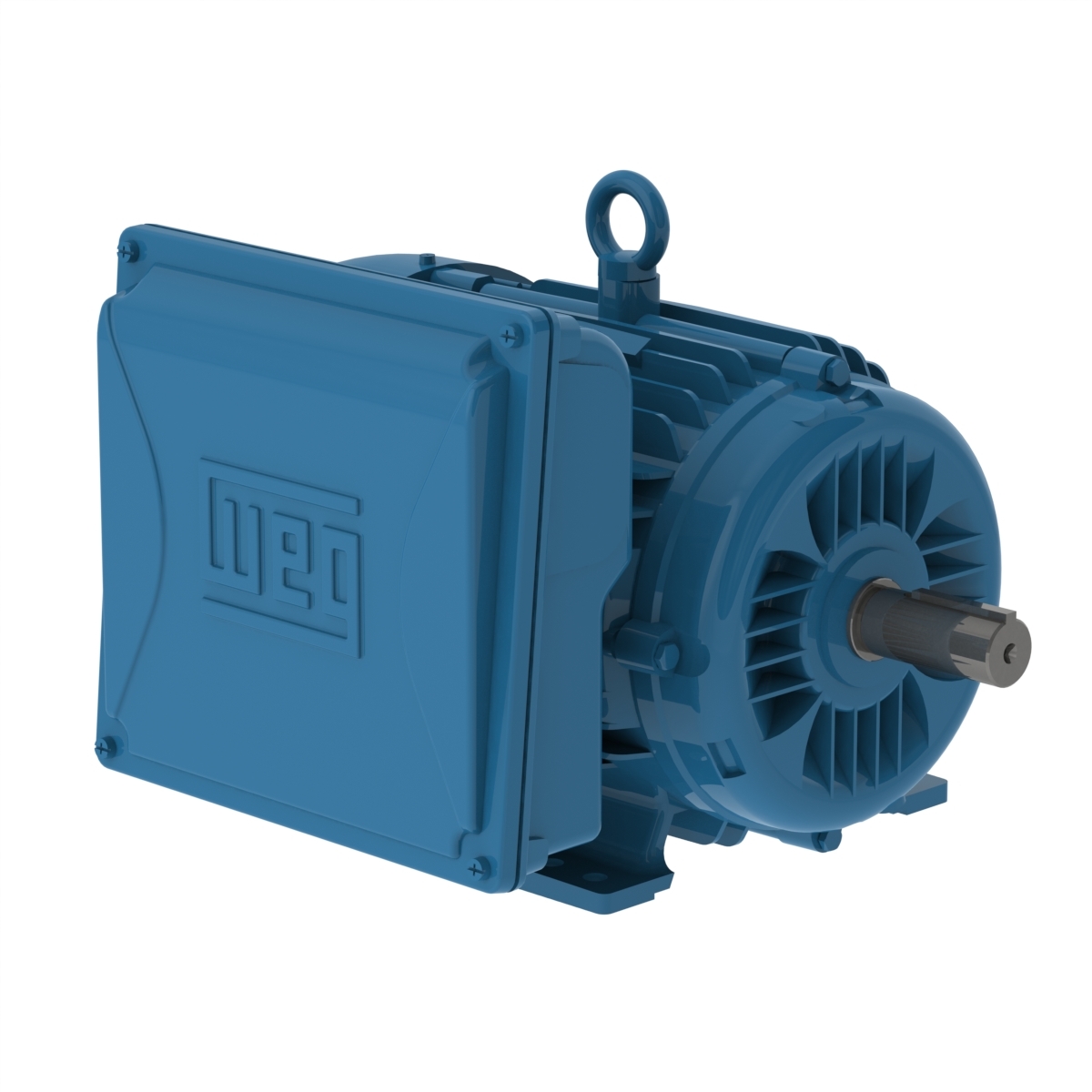 00536ES1E184T-W22 WEG AC Motor