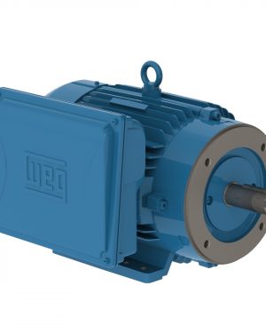 00736ES1E213TC-W22 WEG AC Motor