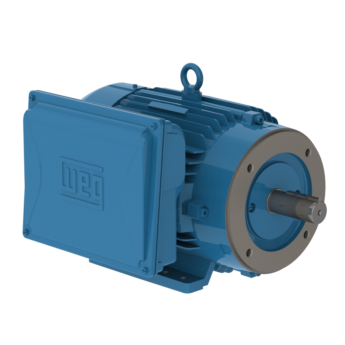 00718ES1E215TC-W22 WEG AC Motor