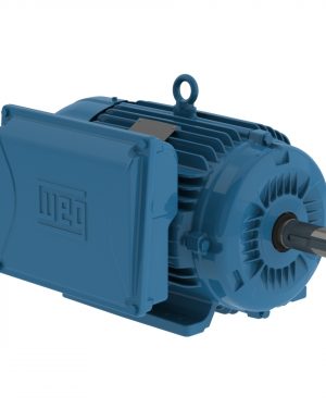 00312ES1E215T-W22 WEG AC Motor