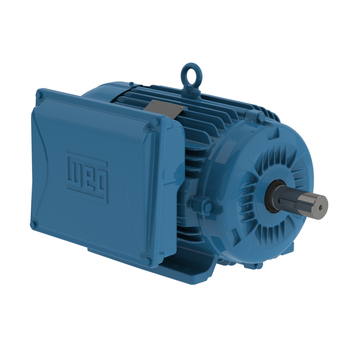 00512ES1E215T-W22 WEG AC Motor
