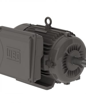 00736ES1B213T-W22 WEG AC Motor