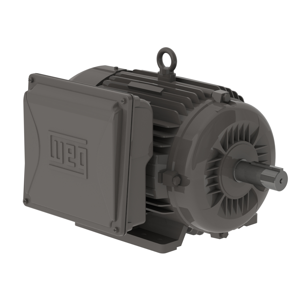 00736ES1B213T-W22 WEG AC Motor