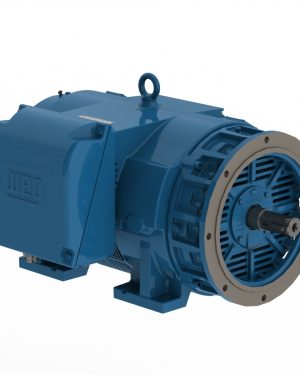 30018OT3H447/9TSD-W4 WEG AC Motor