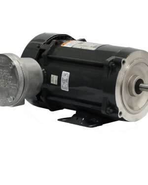 00158XT3E56HC WEG AC Motor