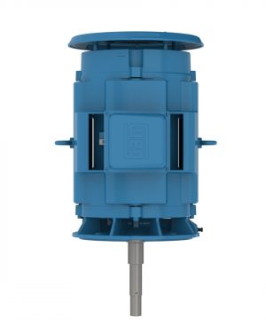 02036OT3H254JPV WEG AC Motor