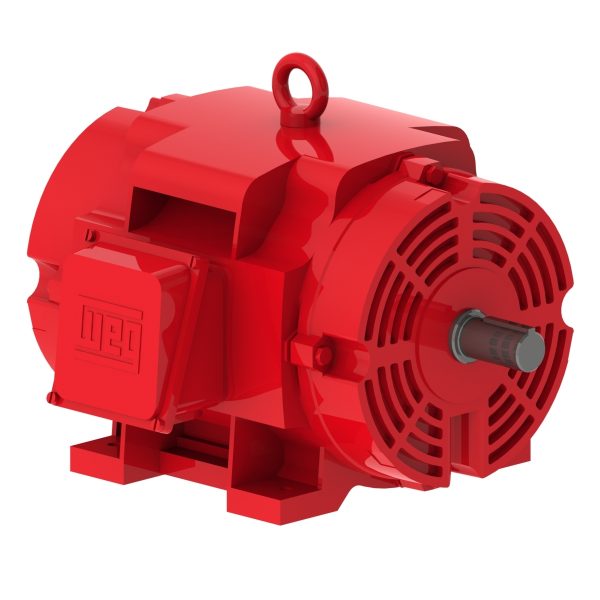 10018OP3EFP404TS WEG AC Motor