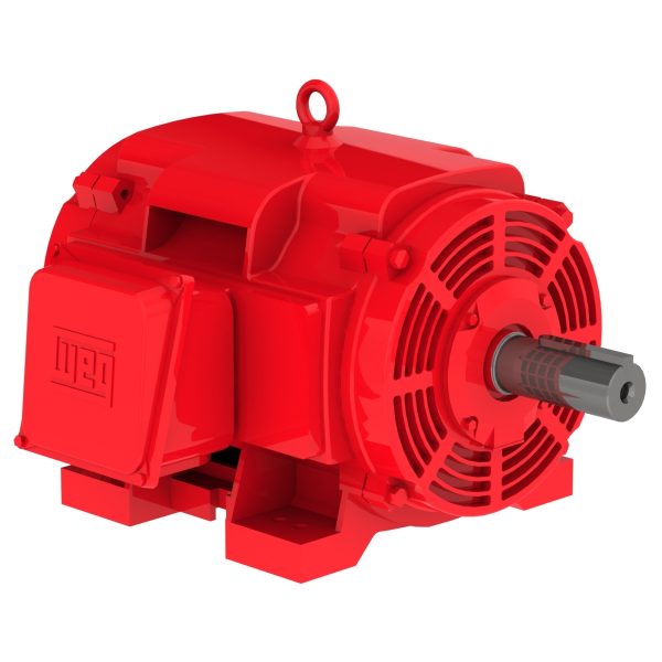 20036OP3JFP444TS WEG AC Motor