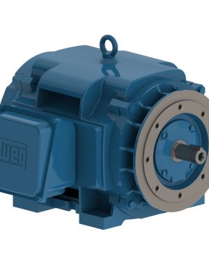 25036OT3G445TSC-RF WEG AC Motor