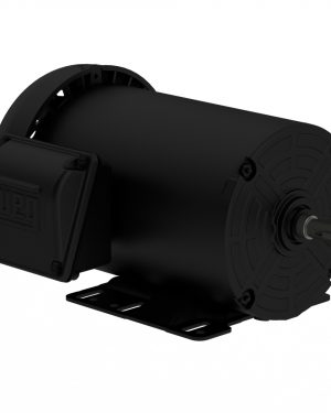 01036ET3P215T-S WEG AC Motor
