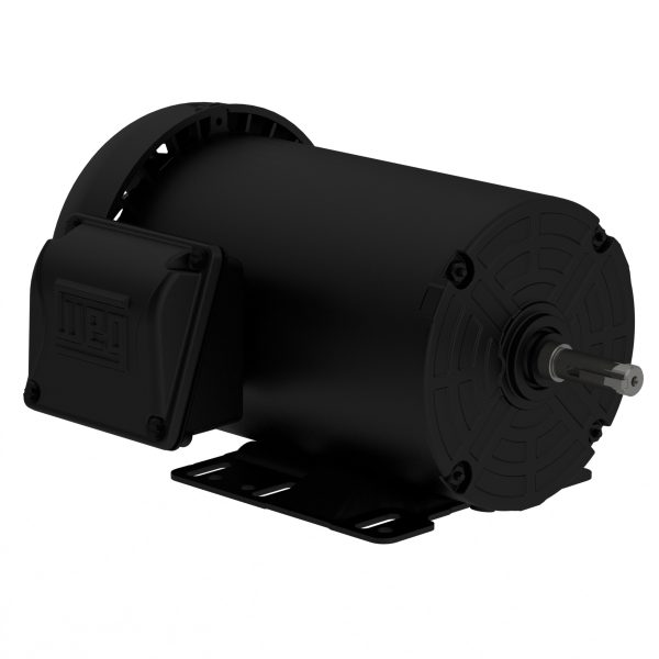 01036ET3P215T-S WEG AC Motor
