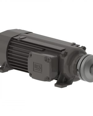 11004176 WEG AC Motor