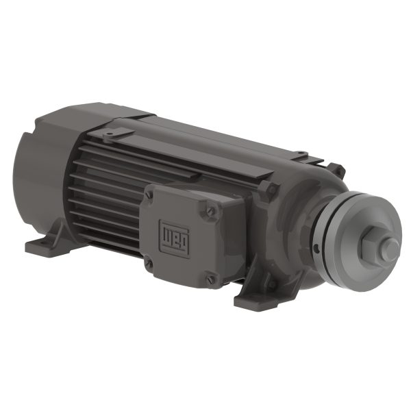 11151007 WEG AC Motor