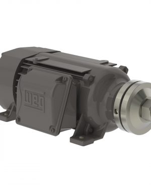 00718ES3ESA90LR WEG AC Motor