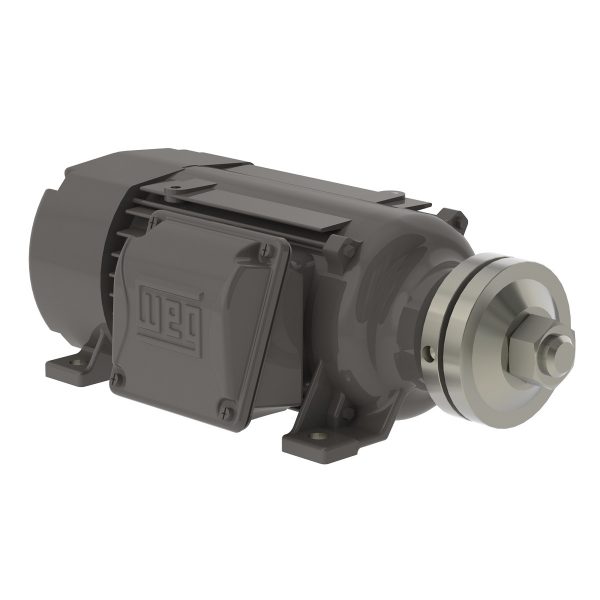 00718ES3ESA90LR WEG AC Motor