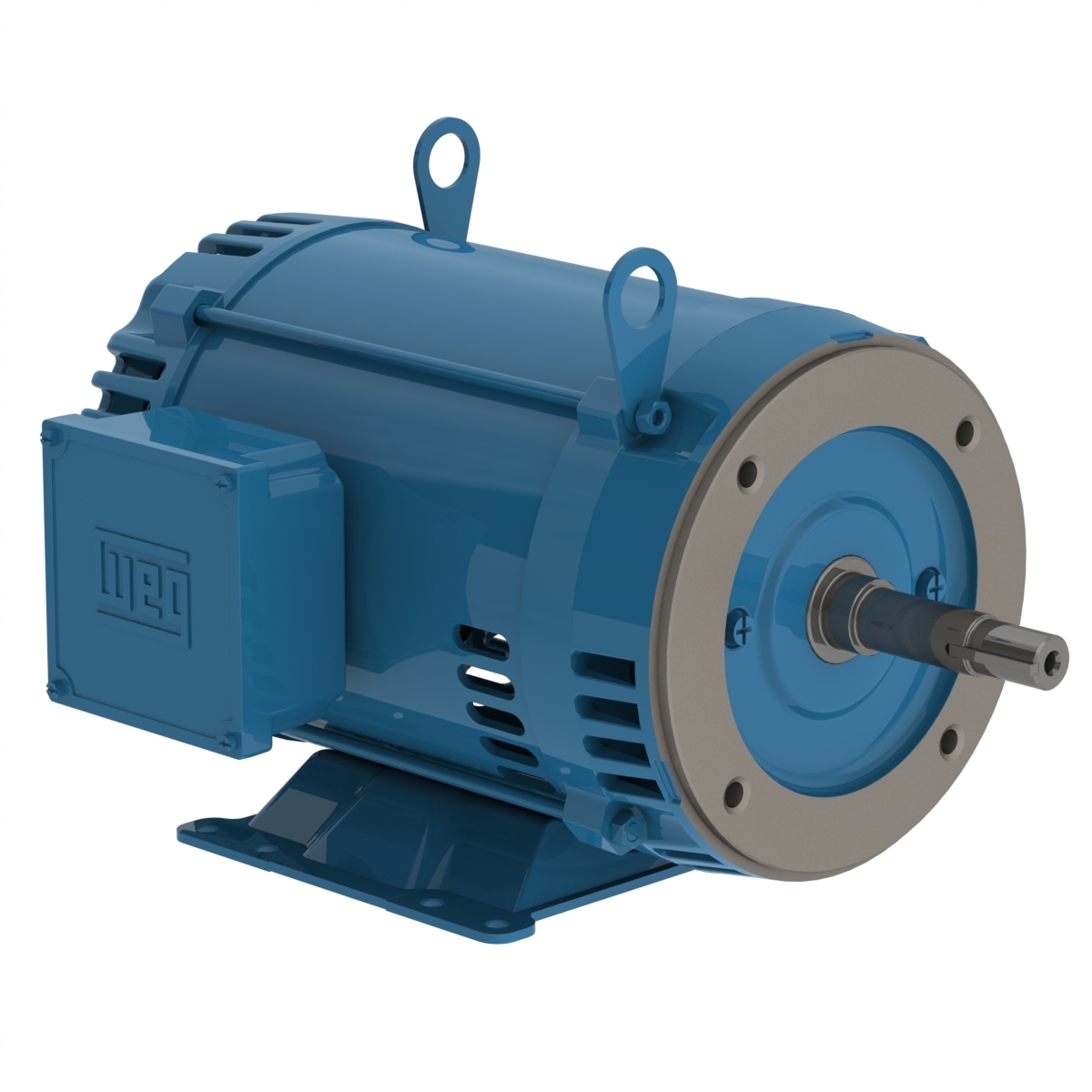 01036OT3H213JM WEG AC Motor