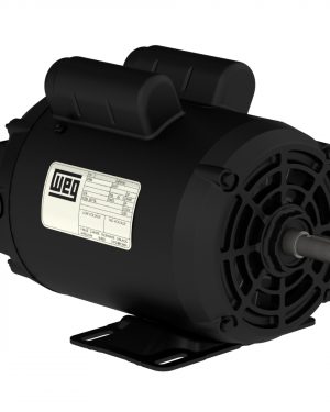 CDS032OM001 WEG AC Motor
