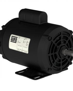 11974356 WEG AC Motor