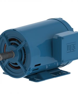WEG AC Motor 10563023