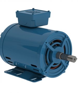 WEG AC Motor 10853260